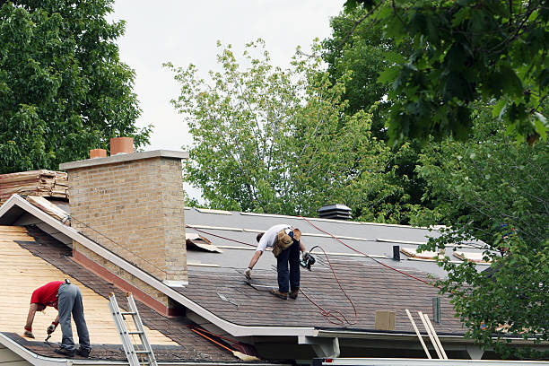 Best Storm Damage Roof Repair  in Shamokin, PA