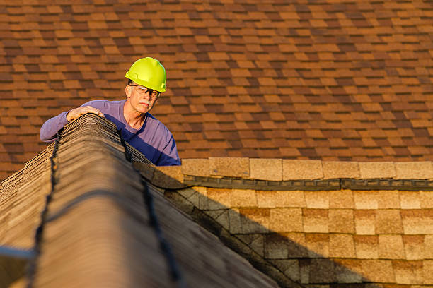 Best Storm Damage Roof Repair  in Shamokin, PA